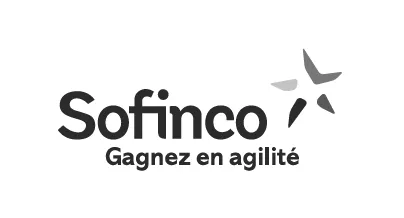 Logo de la marque Sofinco, client de BigBizYou.